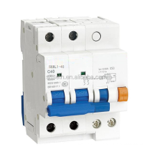 DZ47LE-63 2P 400V AC Residual Current Circuit Breaker RCCB